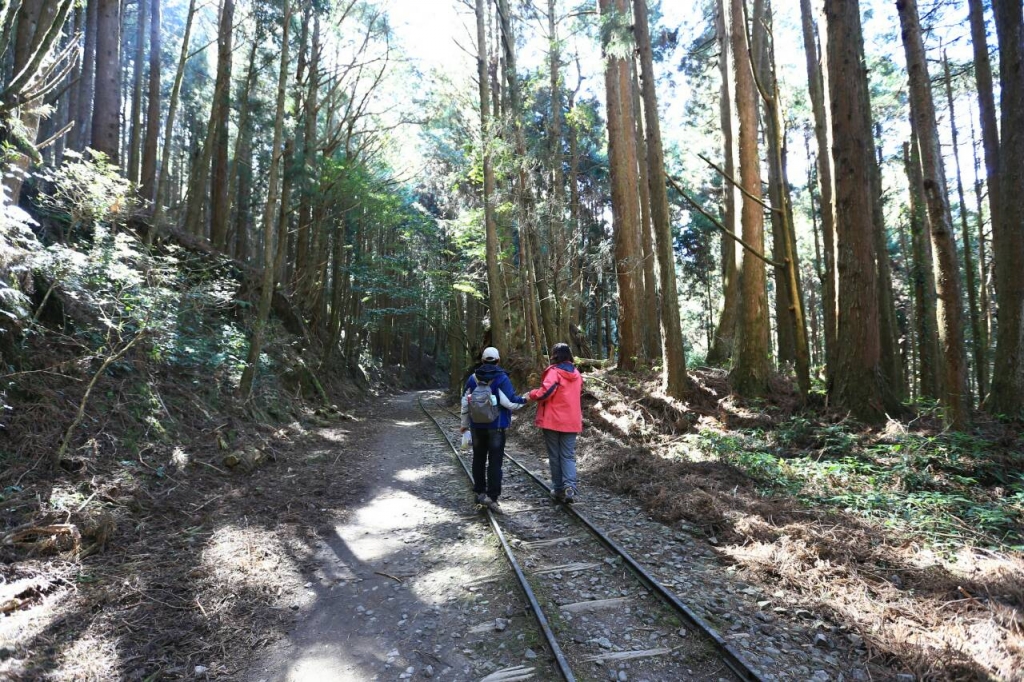 特富野古道_32034