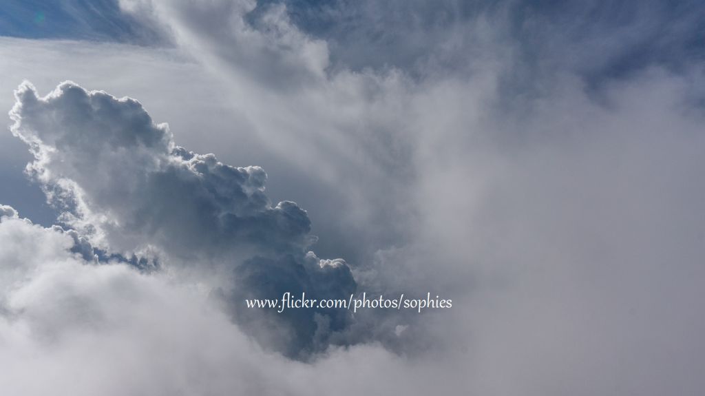 20180703合歡東峰_376231