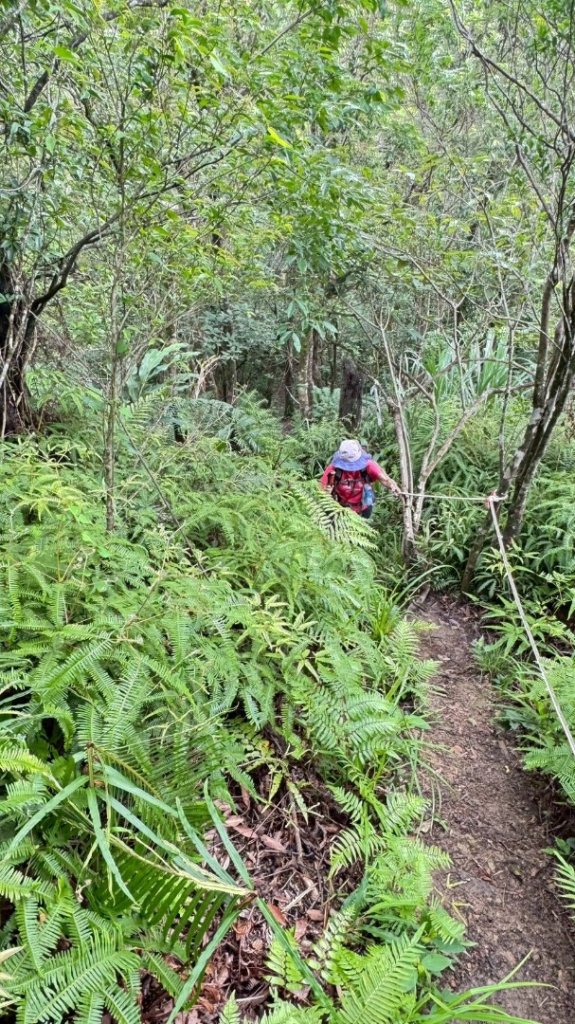 烏窟子山、獵貍尖山、黃櫸皮寮山、翡翠之眼O走_2809890