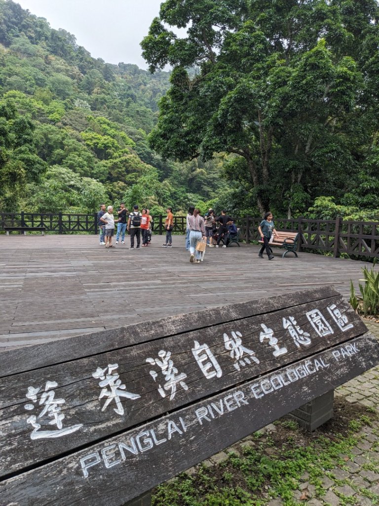 蓬萊溪護魚步道封面圖