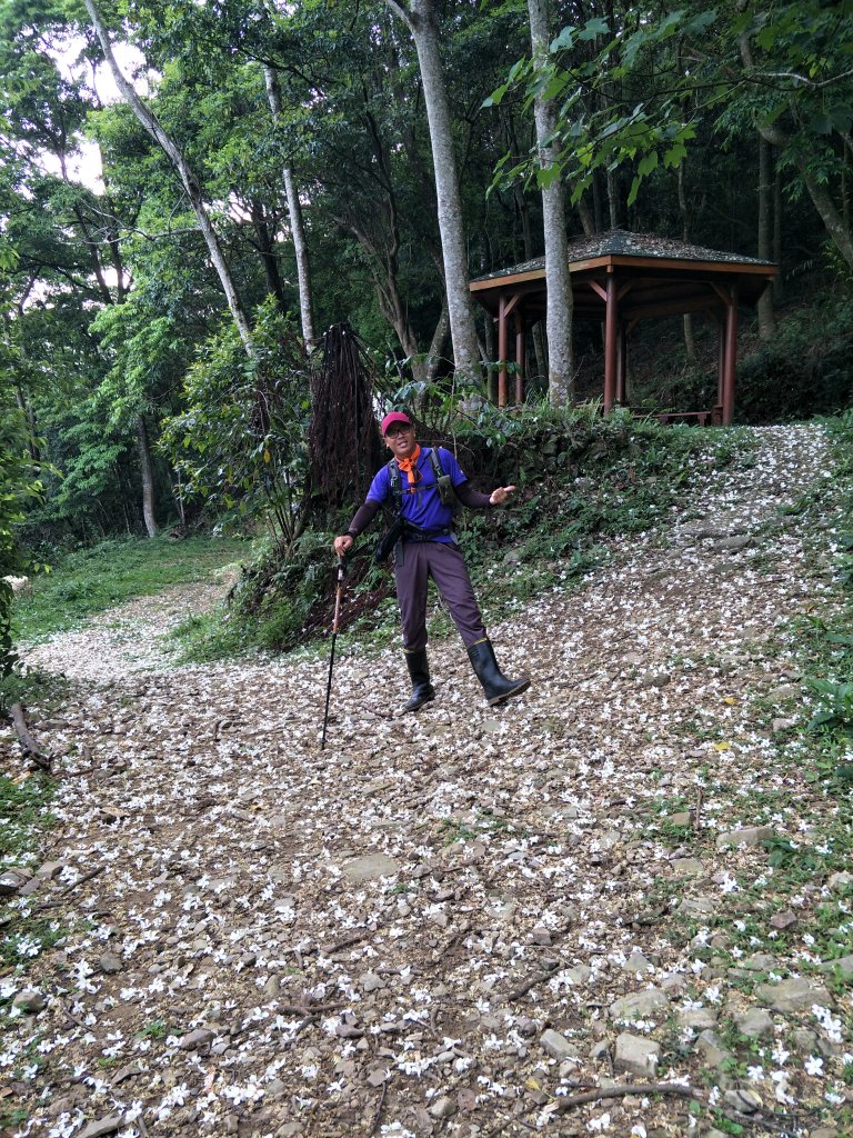 2019 04 28 蝶夢八唐縱走_574950