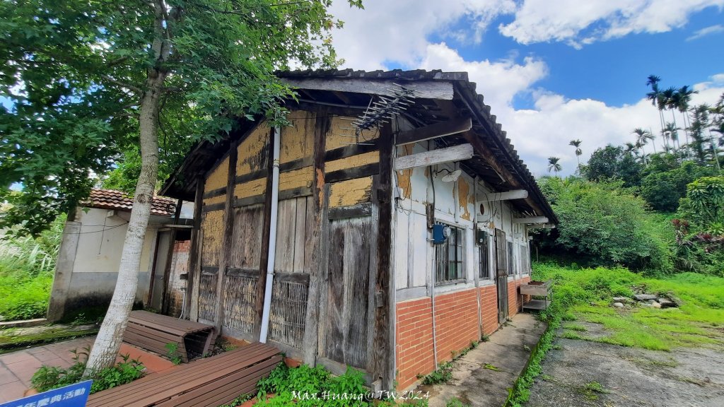 《南投》侏儸紀公園｜魚池澀水森林步道O繞20240629_2538469