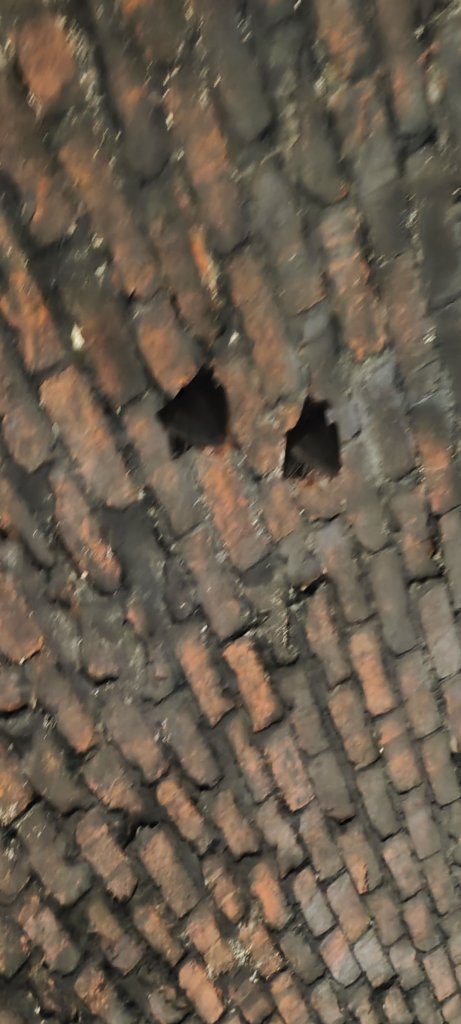 新北．三貂嶺友善生態隧道2023/08/08_2246234