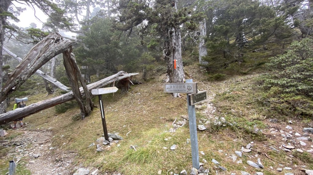 志雪劍之旗_1488395