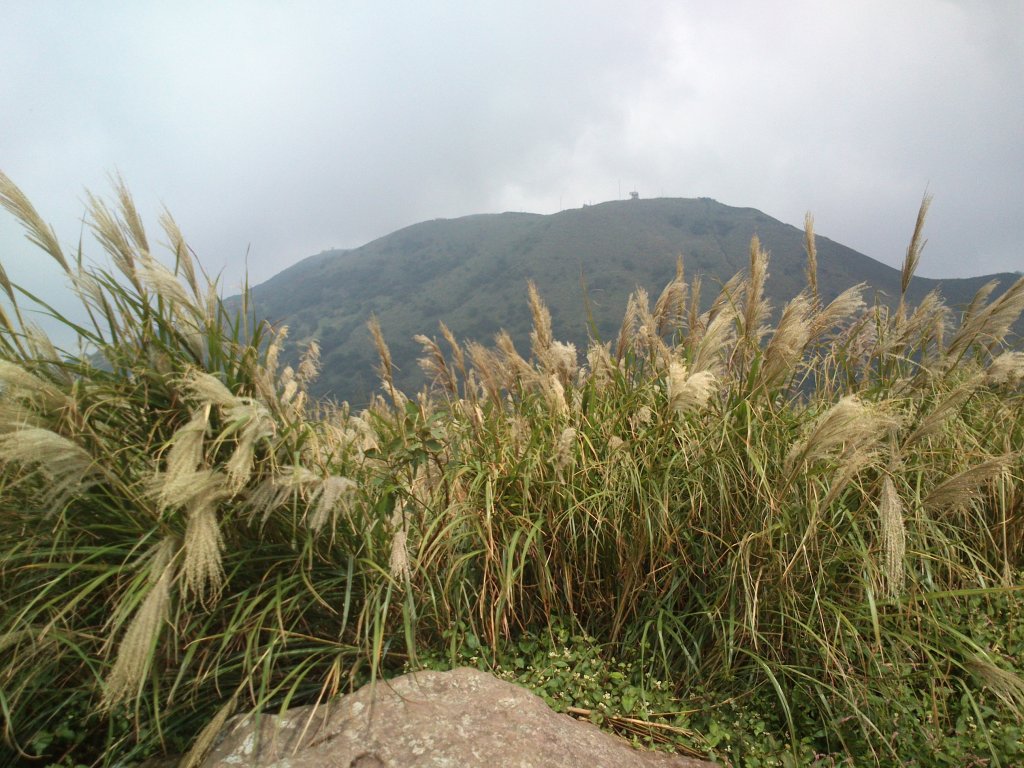 2013.10.26 面天山、向天山步道封面圖