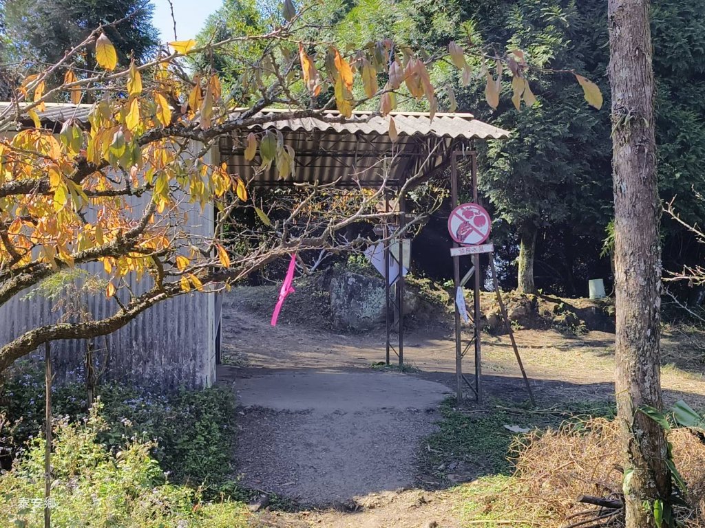 苗栗馬那邦山_1965124