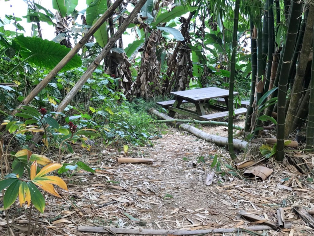 烏山步道走刣牛湖山_468607