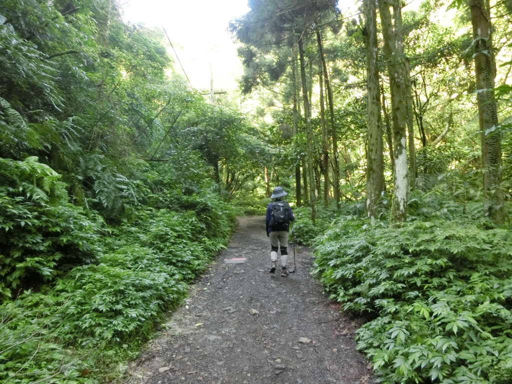 二格山（草湳Ｏ型）_93225
