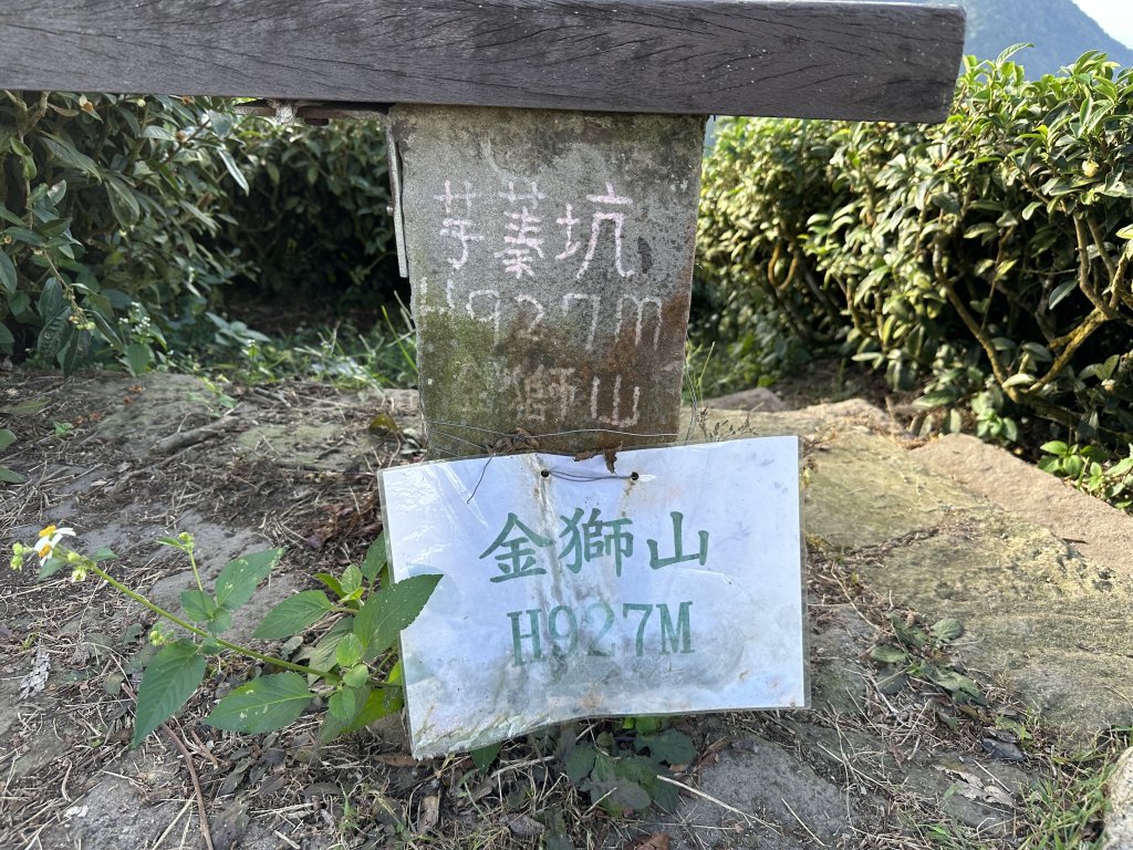 竹崎十三連峰 (阿里山四大天王越野賽路線)_1932694