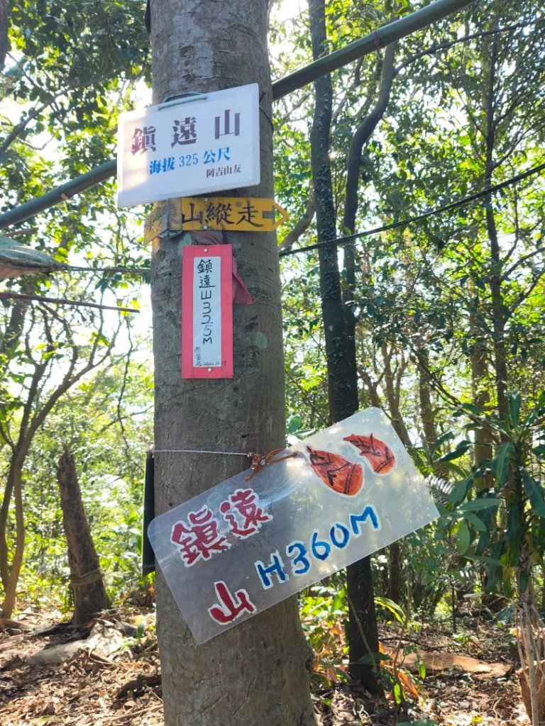 微笑山線：【大棟山系】405高地段_2942977