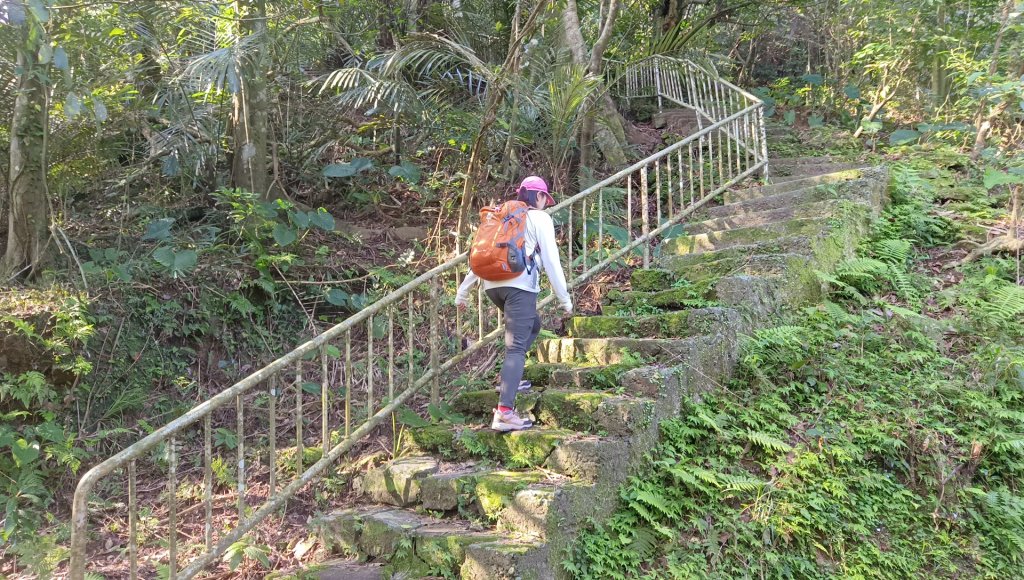 (姨婆趴趴走)第四十八集:新北草嶺古道（福隆車站-大里車站）_2747627