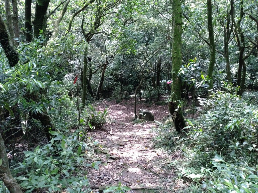 112/5/1石溪山 台灣石_2141948