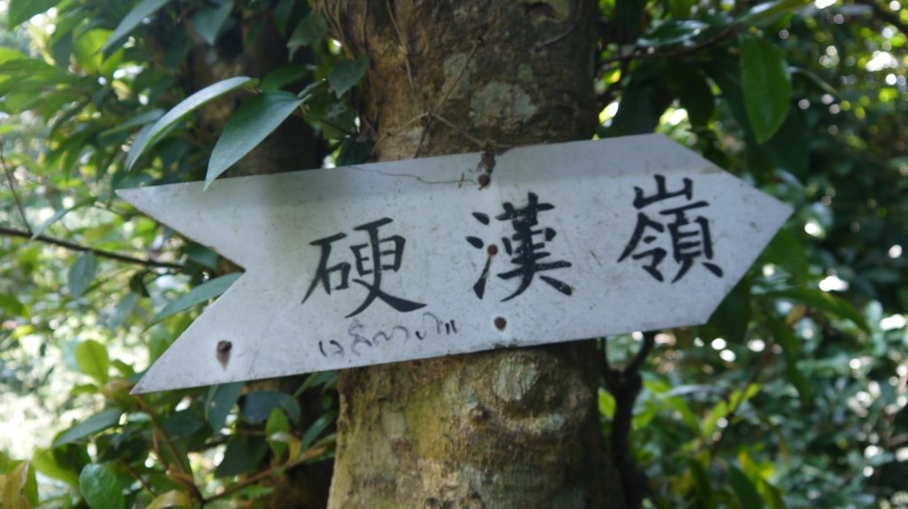 觀音山登山健行趣(小百岳05號)_1632431