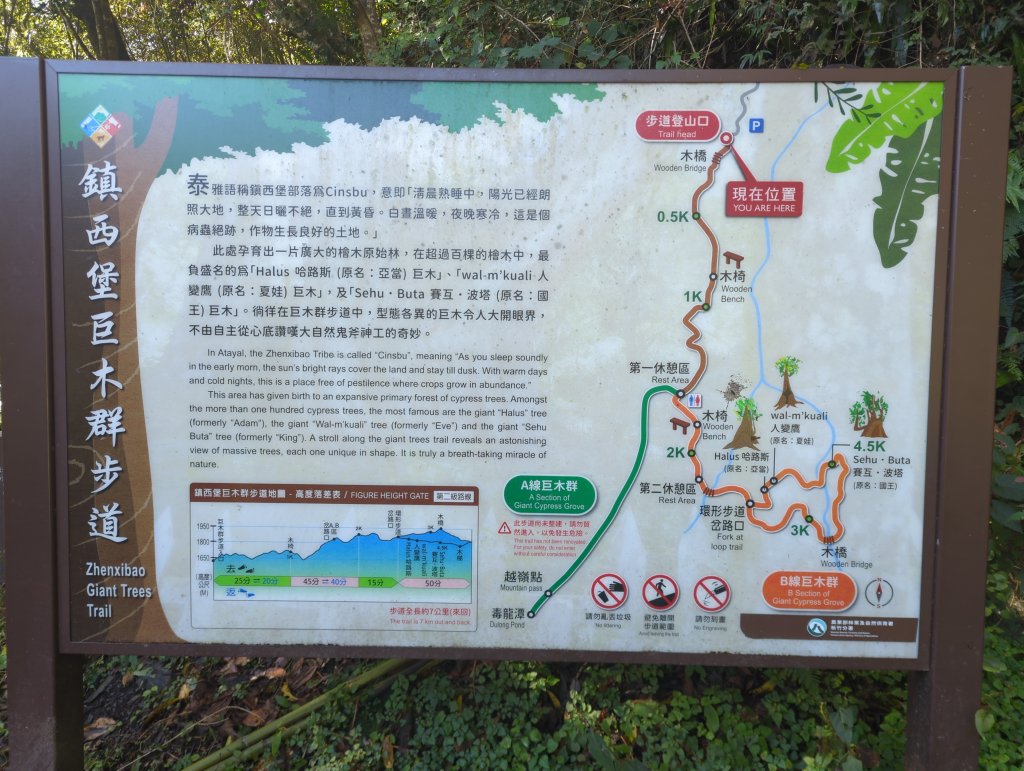 2026.01.03－鎮西堡B區神木群_2981120