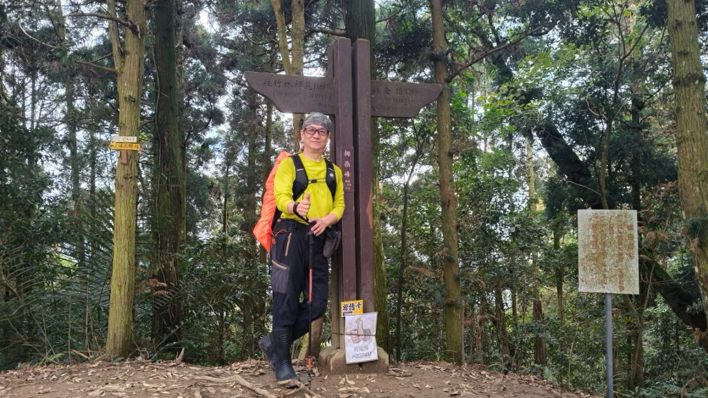 五指山走春封面圖