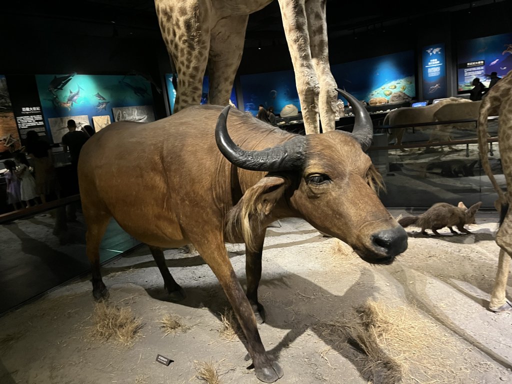 [全臺走路趣尋寶-42/100] 2024_0915_臺南都會公園(奇美博物館)_2597097