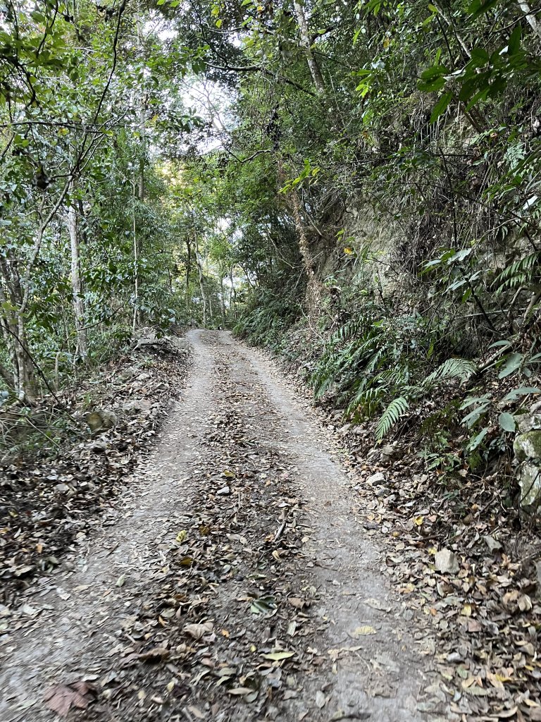 蝶夢八唐搜尋失蹤者 2025.11.25_2954285