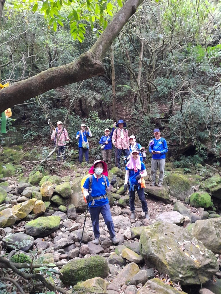 擎天崗→磺嘴山生態保護區→磺嘴山 H912m→翠翠谷→榮潤古道→內雙溪古道→冷擎步道→冷水坑_1487617