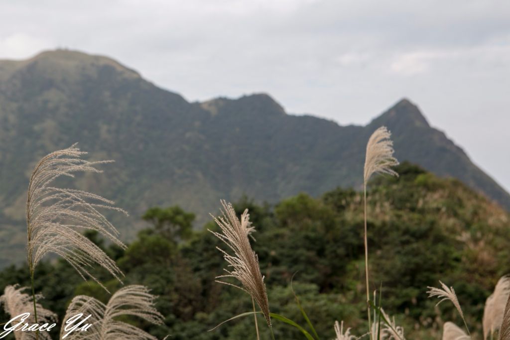 無耳茶壺山_233750