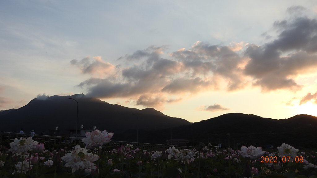 雲山水花鳥蝶 - 天龍國阿伯的日常 7/8&11_1757156