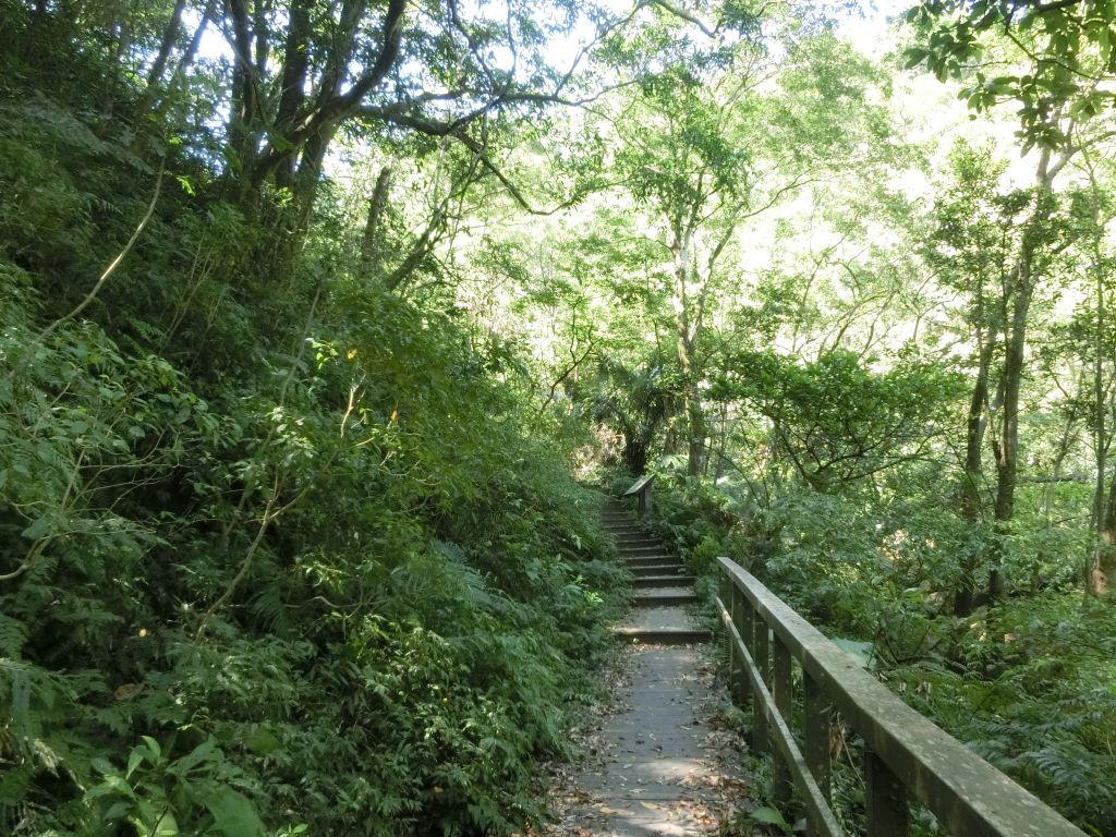 荖寮坑古道．淡蘭古道暖東舊道_158132