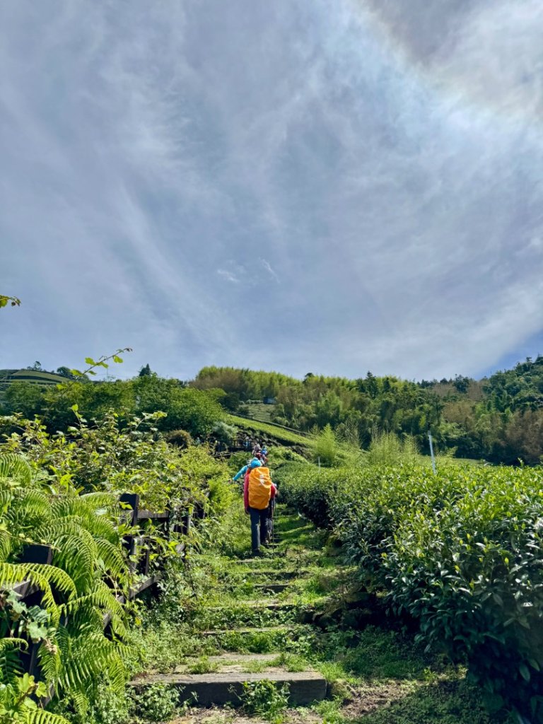 頂石槕步道群順訪樂野山_2808406