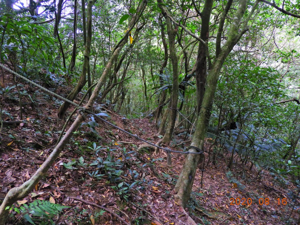 宜蘭 頭城 灣坑頭山_1068749