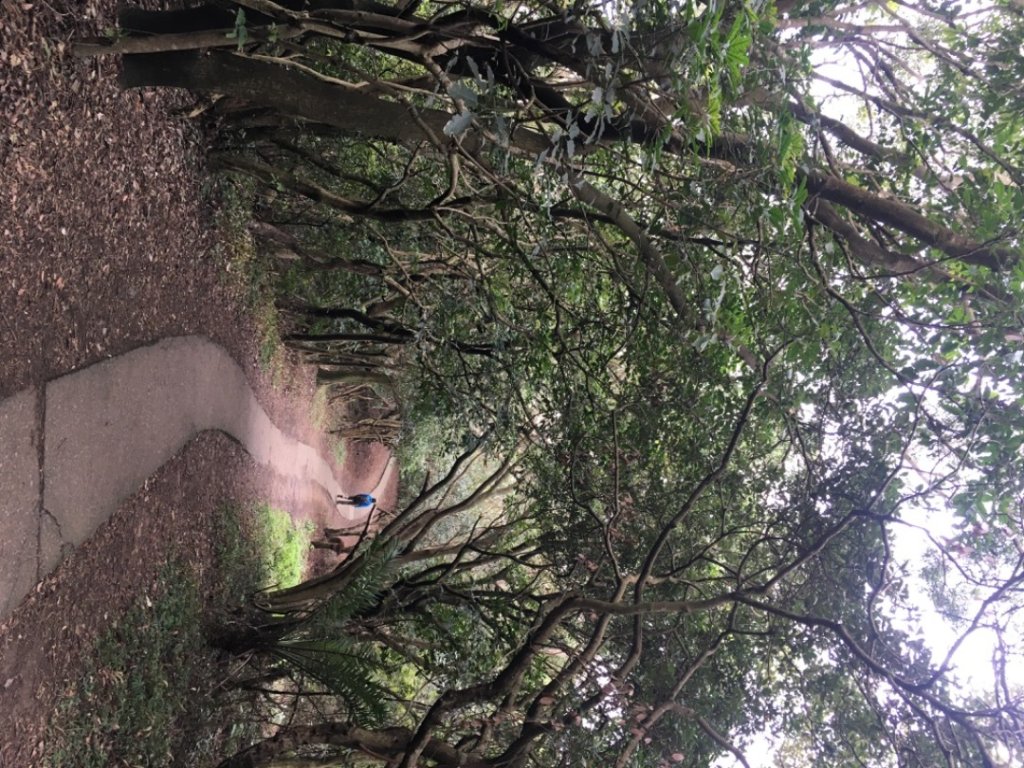 五酒桶山、南崁山_2693385