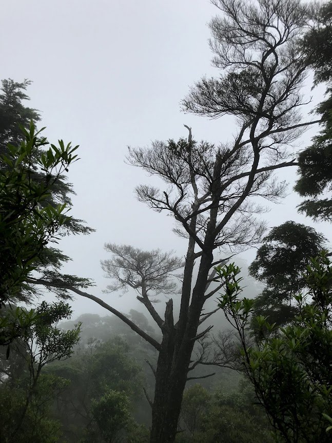 內鳥嘴山北得拉曼20200531_1965251