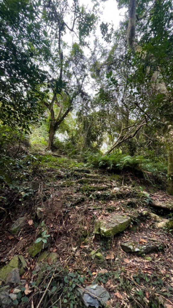 探訪高義日治時代鐵線吊橋-鷹山駐在所遺址-鷹山_2383604