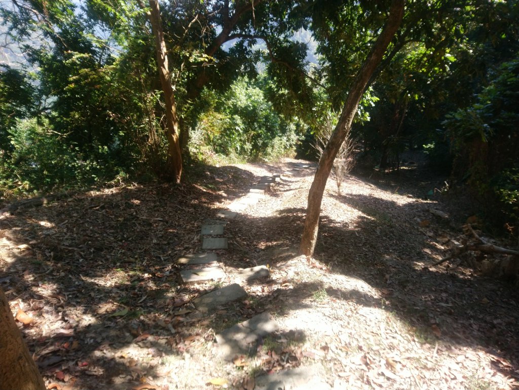 太平淨德寺後山步道_738187