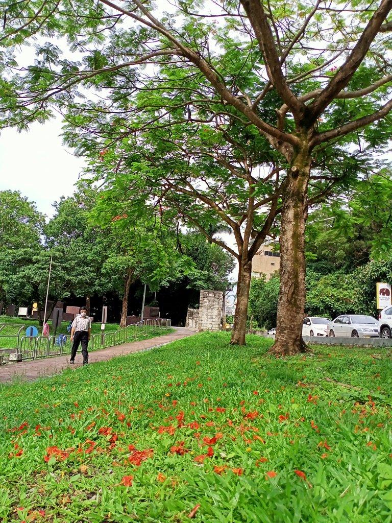 碧波蕩漾的碧湖公園環湖步道_1731899