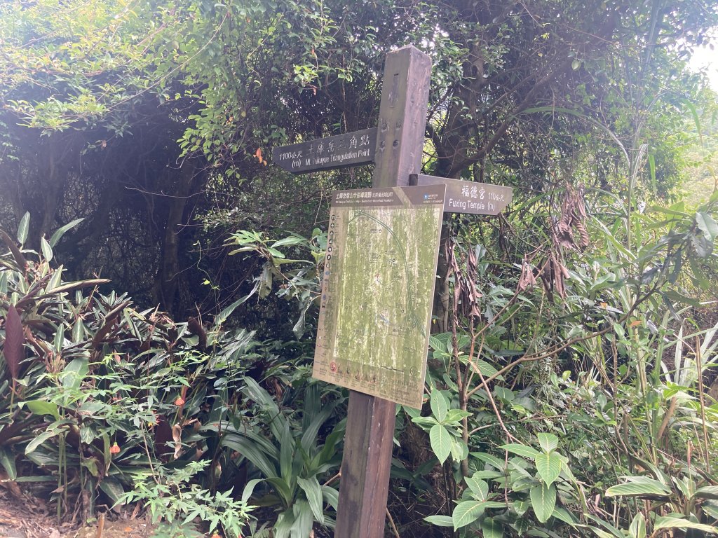 土庫岳_2527729