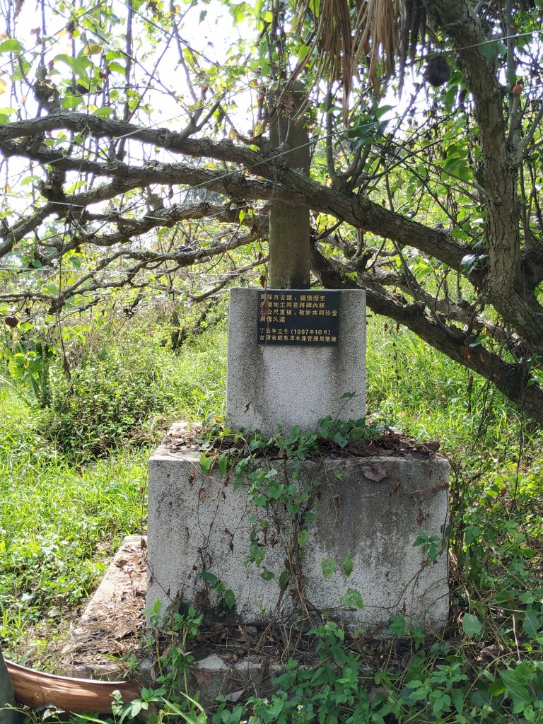 樟之細路主線踏查｜Day 9_755162