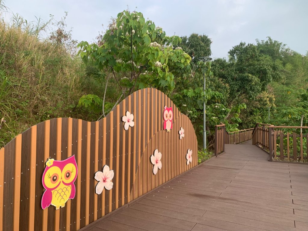 阿罩霧山、中心瓏步道_2768964