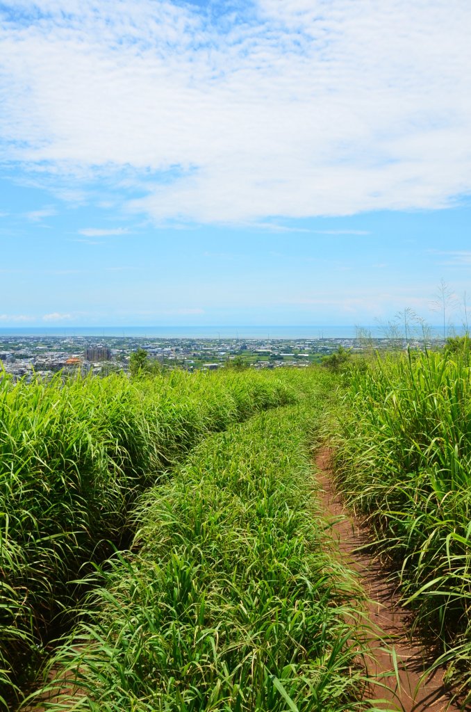 鐵砧山 - 順訪鐵砧山碉堡_1752534