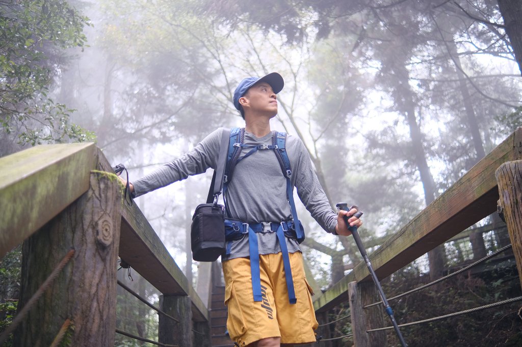 溪頭鳳凰山.天文台_1830315