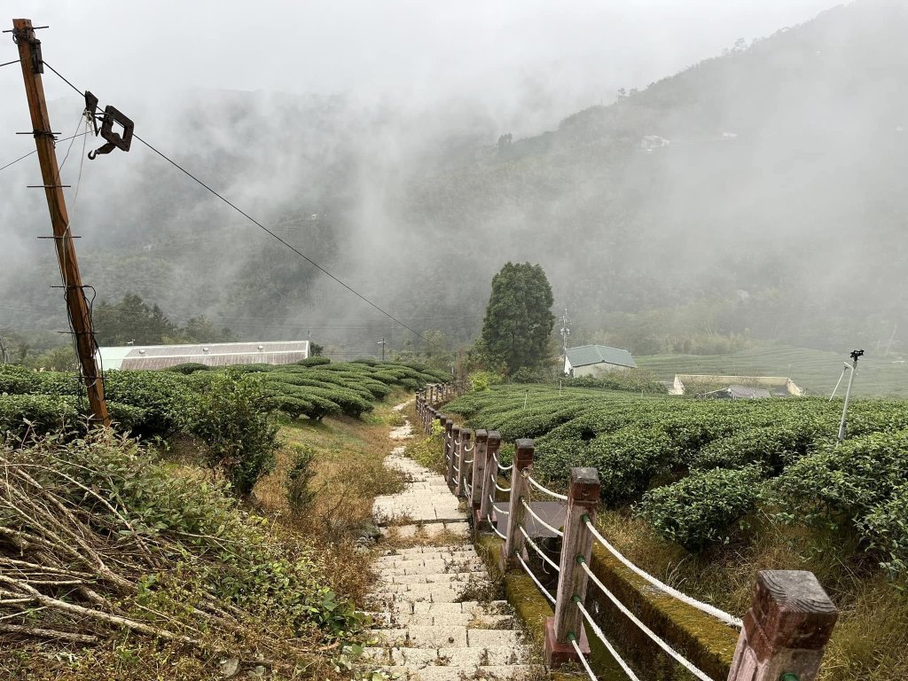 雲嘉五連峰健行_2679825