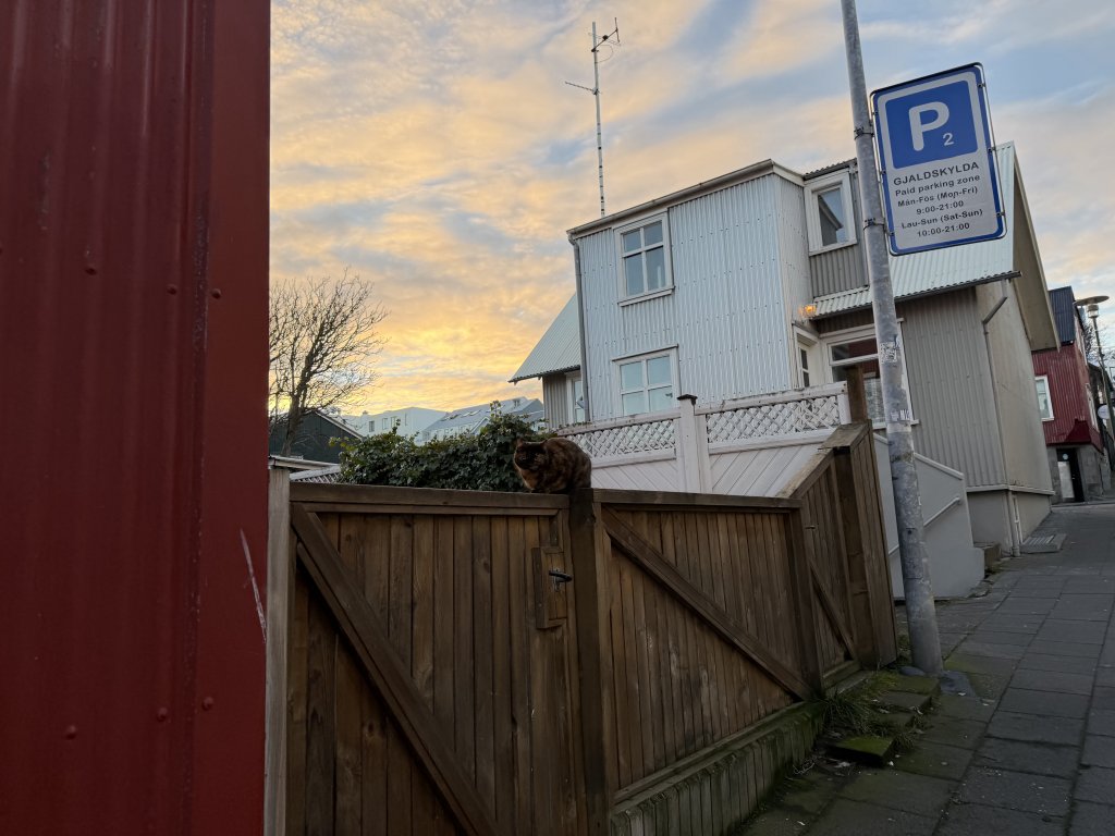 [紐約馬之行-17] 2025_1104 太陽航海者(Sun Voyager)_2945739