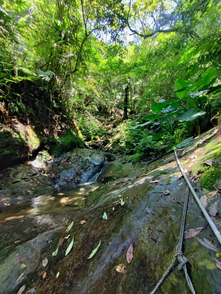 石牛山-小百岳#25-新竹縣關西區_2236767