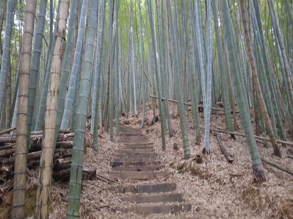 雲嘉南峰石壁山封面圖