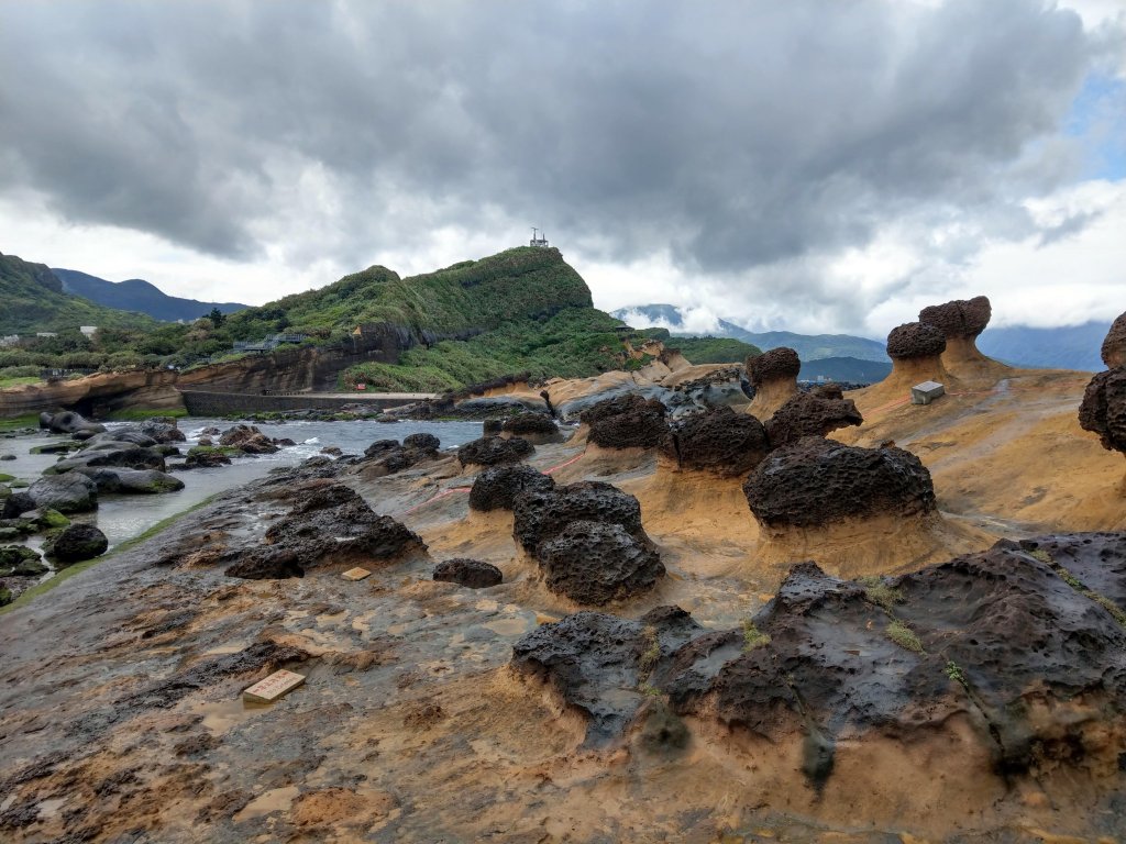 野柳地質公園、野柳岬山步道 & 賞鳥_1319840