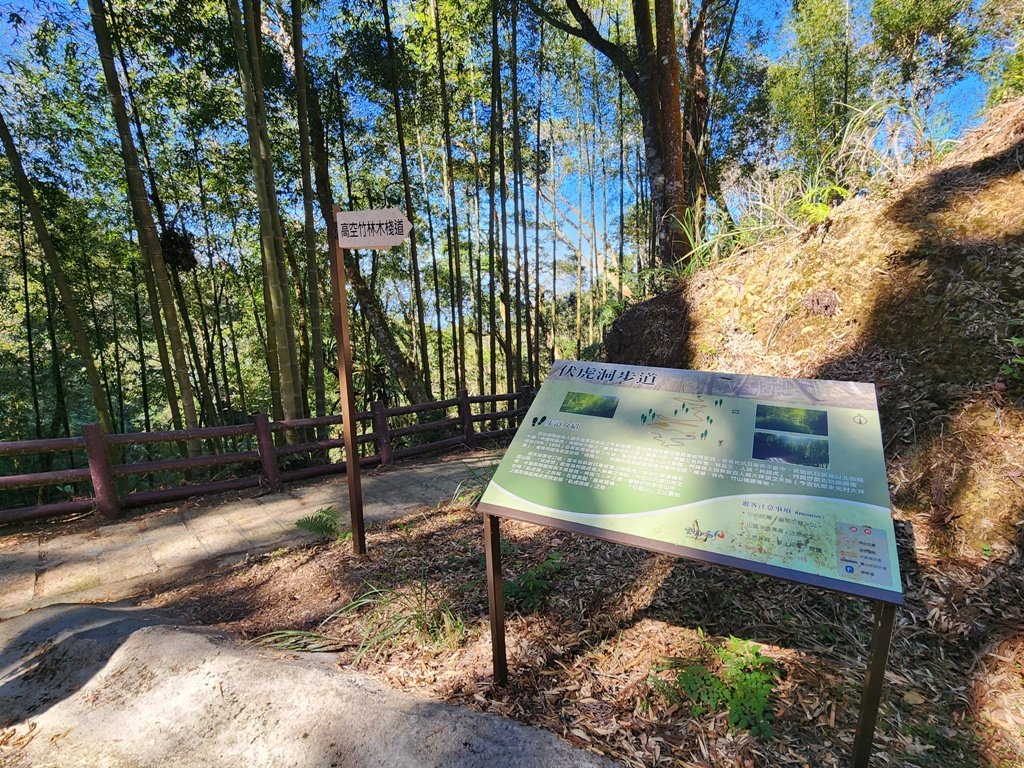雲嶺之丘連走木馬古道O繞_2665871
