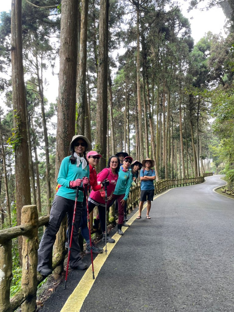 2度強渡關山未竟之藤枝國家森林遊樂區 多納部落 新威森林公園輕鬆走_1880445