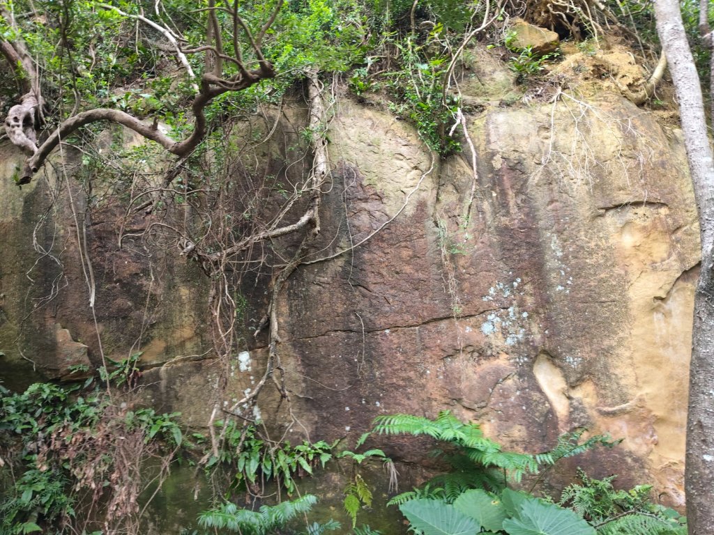 微笑山線：和美山_2953986