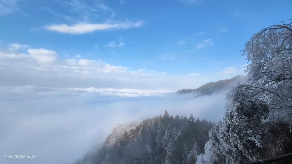 #霧淞 #雲海 #雲瀑 #霧虹 #太平山 #望洋山 #觀雲步道 #翠峰道路  2/8_2995289