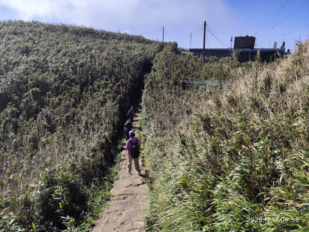 【臺北大縱走 2】【第二回合全程完成證書】鞍部→大屯山步道→大屯山主峰→大屯坪步道→二子坪步道_2960366