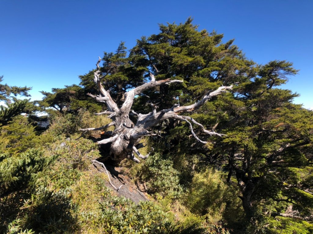 2019 1121 - 24 大小劍山_753549