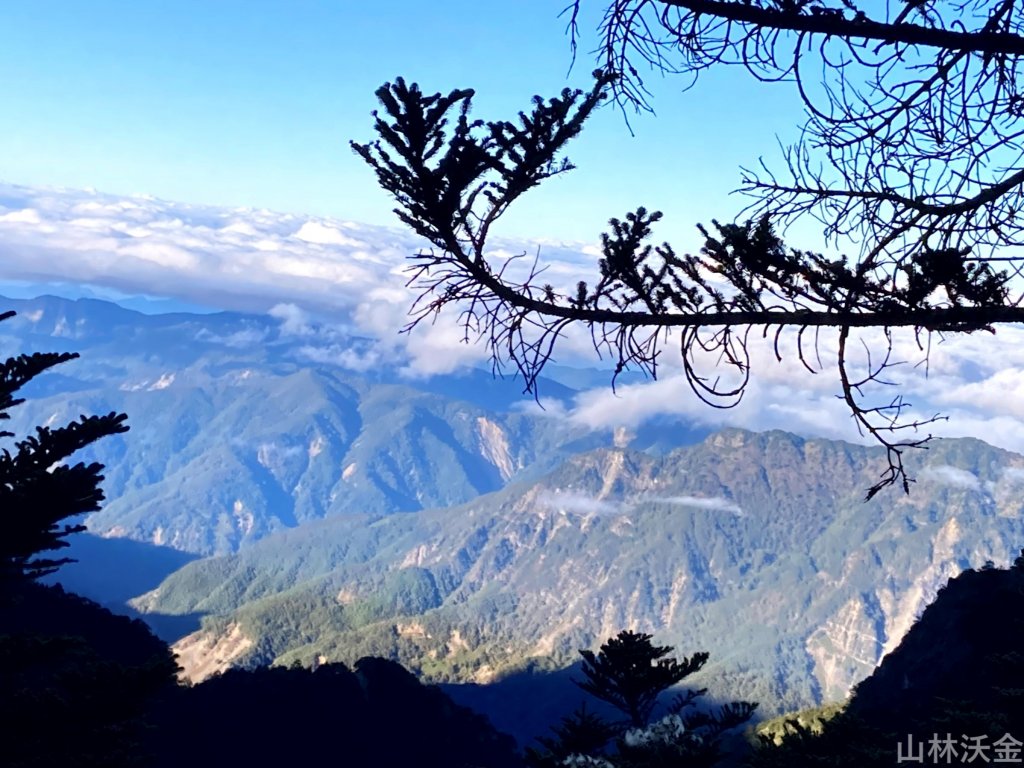 2023-11-27 玉山主峰_2365014