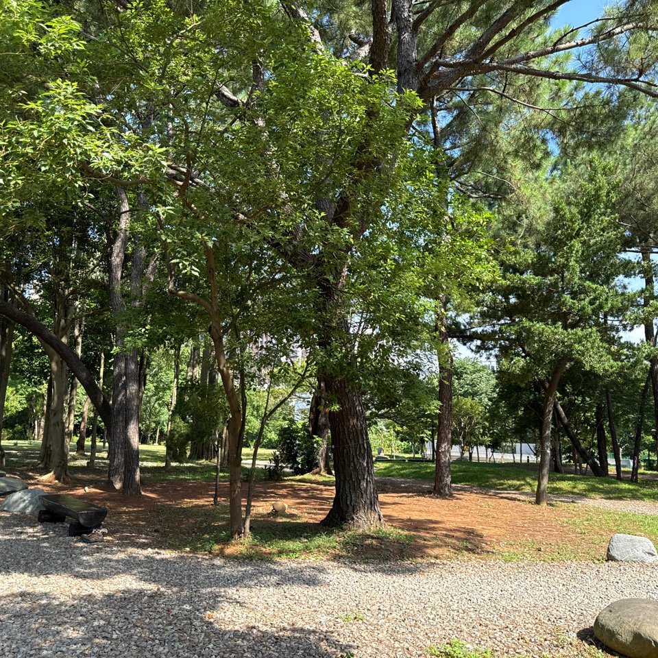 7/18宵裡好風光_2840335